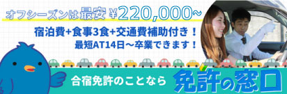 合宿免許